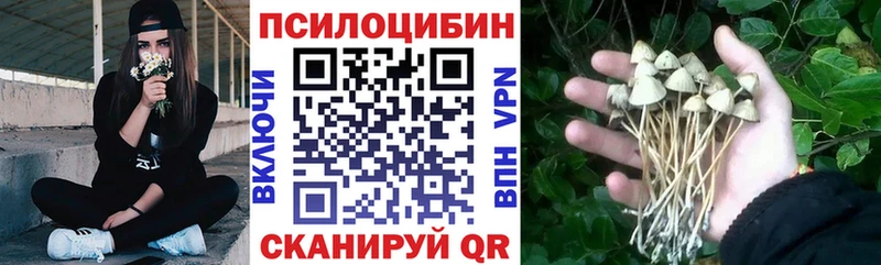 Псилоцибиновые грибы Magic Shrooms  хочу   Цоци-Юрт 